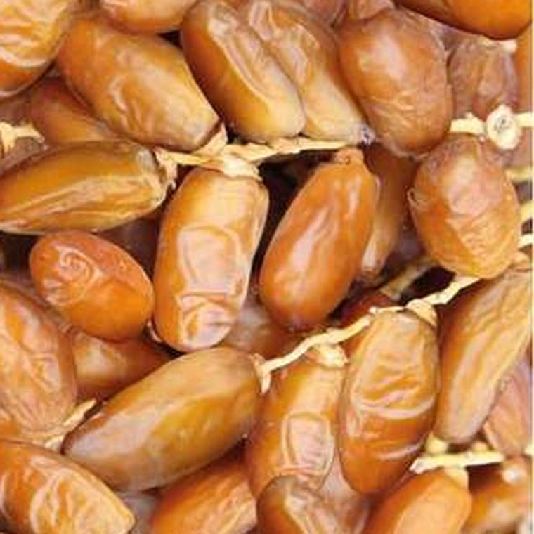 Dattes premium TAMARA